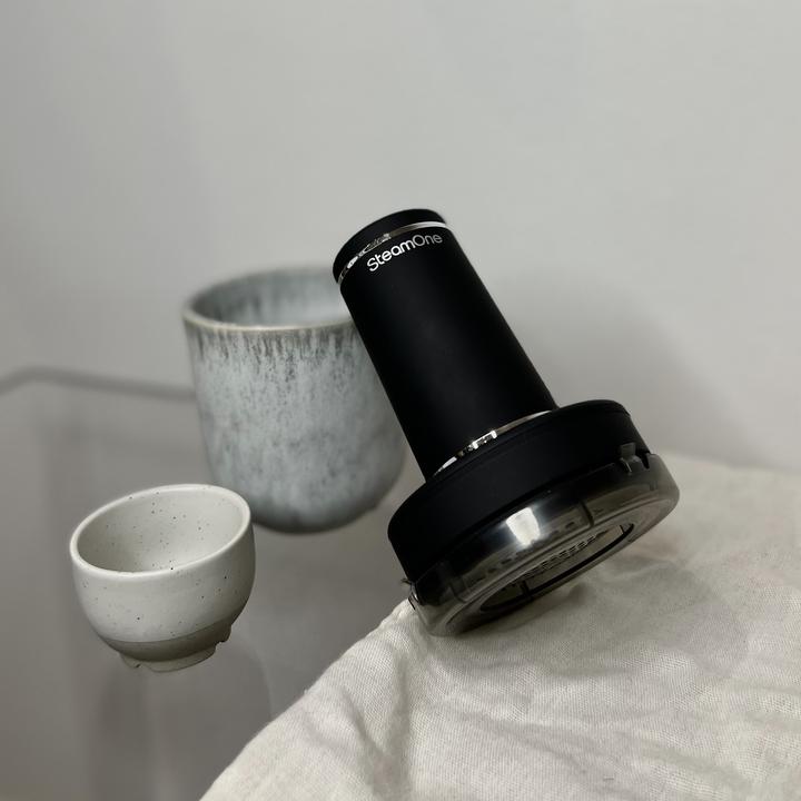 Actual product image SteamOne Reise-Dampfer&Anti-Fussel B-SN200B-RP10 (1800 W, 28 g/min)