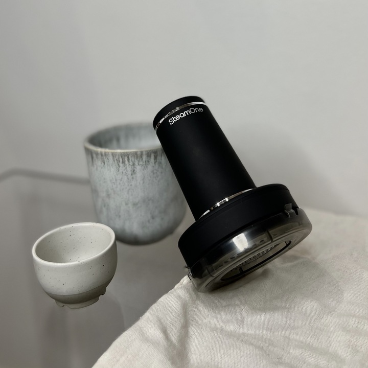 Actual product image SteamOne Reise-Dampfer&Anti-Fussel B-SN200B-RP10 (1800 W, 28 g/min)