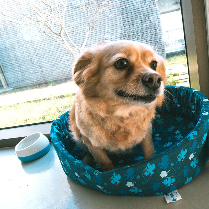 Produktbild Duvoplus Les Schtroumpfs (Hund)