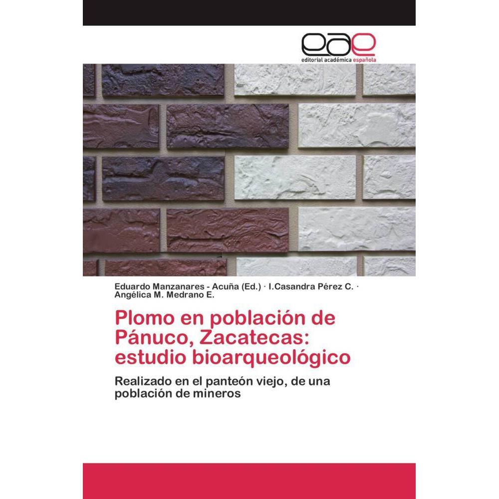 Plomo en población de Pánuco, Zacatecas: estudio bioarqueológico, Fachbücher