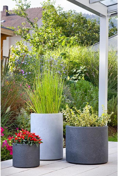 Produktbild Scheurich Panzano (48 x 41 cm)