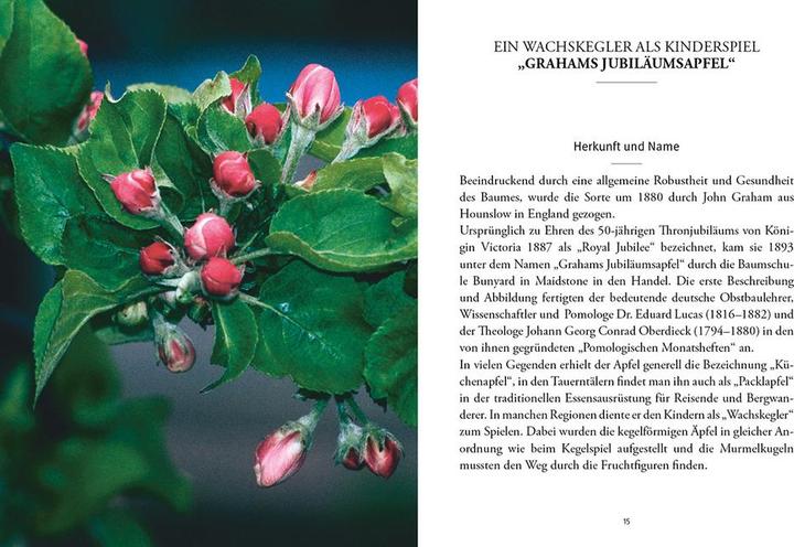 Produktbild Alte Obstsorten in der Küche (Deutsch, Bernhard Iglhauser, 2014)