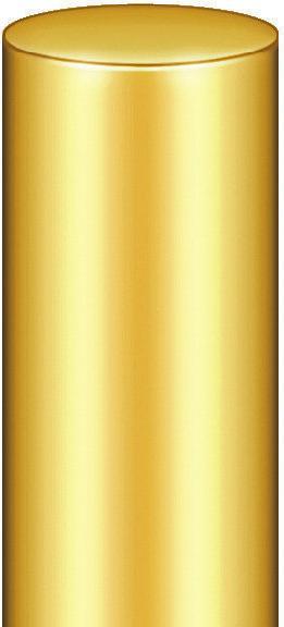 Actual product image Simonswerk Race for construction hinges, for pin 14 mm, outer ø 24 mm, bright brass