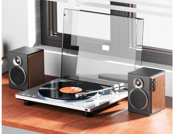 Actual product image FiiO SA1 (1 pair, 50 W)