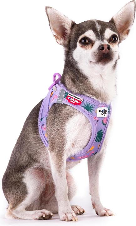 Produktbild Curli Geschirr Vest Air-Mesh XS, Lavendel-Flamingo, SE 2023 (XS, Hund)