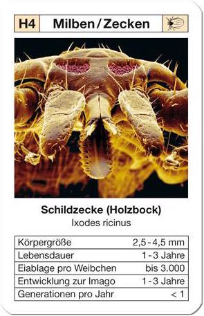 Actual product image Weltquartett 1012 - UNGEFER QUARTET - vermin on 32 playing cards (DE edition) (German, 2 - 4 Players)