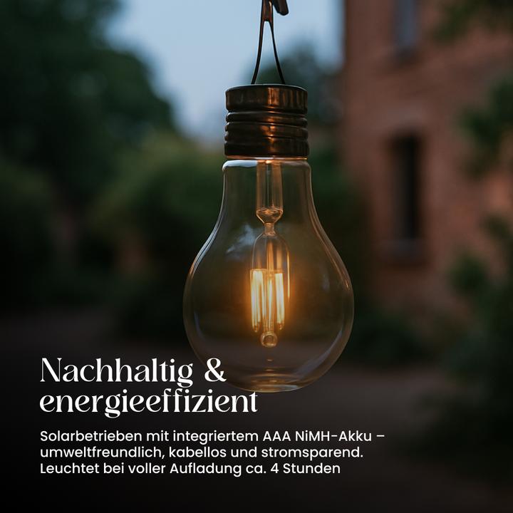 Produktbild Star Trading LED Laterne Fille Solar (IP44)