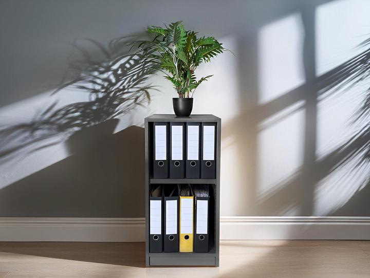 Actual product image Möbel-Eins Office (40 x 40 x 83 cm)