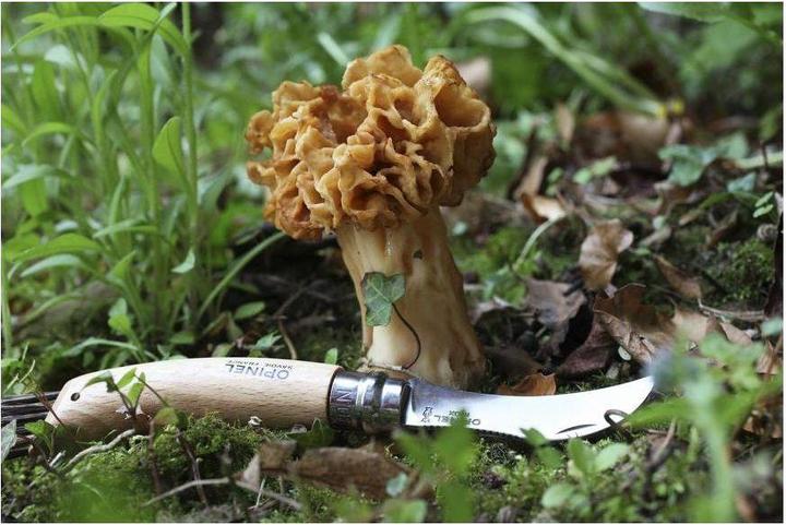 Actual product image Opinel No. 8 (7 cm)