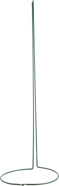 Immagine prodotto Windhager Sostegno perenne (100 cm, 30 cm)