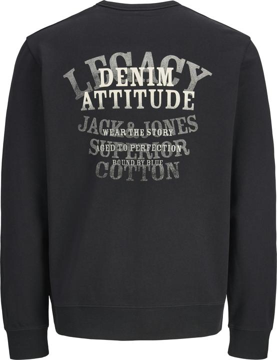 Produktbild Jack & Jones Jjedetroit Sweat Crew Neck Styd Aw25 (S)