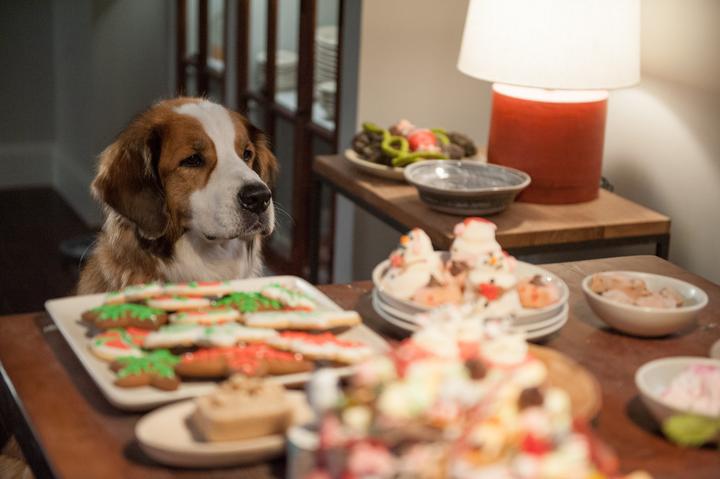 Produktbild Alle Jahre wieder - Weihnachten mit den Coopers (DVD, 2015, Deutsch)