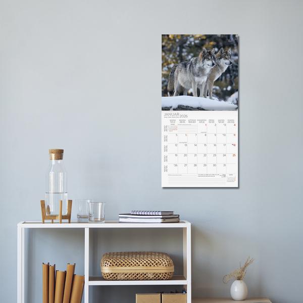 Produktbild Tiere des Waldes 2026 (30 x 30 cm)