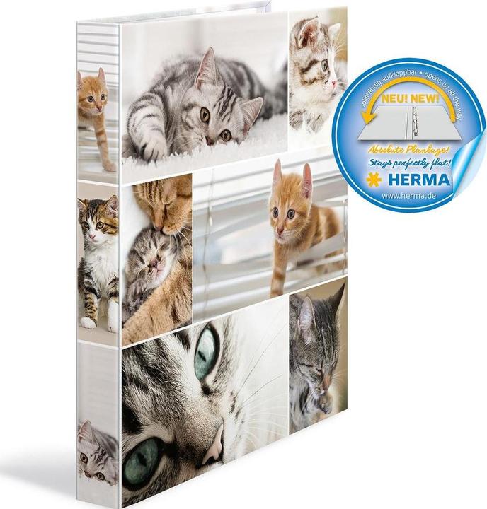 Actual product image HERMA A4 ring binder motif (A4, 35 mm, 1 pcs.)