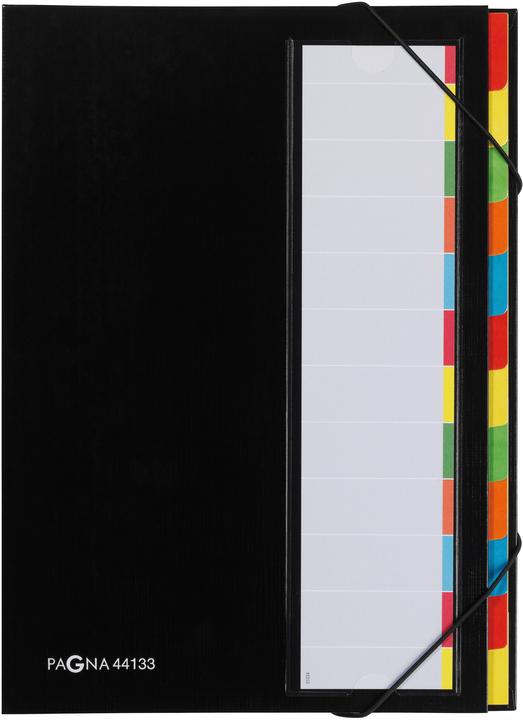 Actual product image Pagna Desk organizer (A4, 1x)