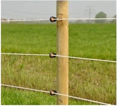 Image du produit Gallagher Isolateur XDI 20 pièces