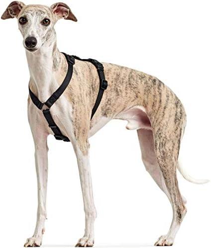 Immagine prodotto Hunter Imbracatura di sicurezza Vario Rapid (48, 49, 50, 52, 54, 56, 58, 60, 62, 68, Cane, Passeggiare)
