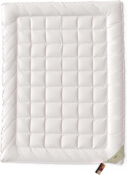 Immagine prodotto Erzstef Piumino Bali in bambù (1290 g, 240 x 240 cm)