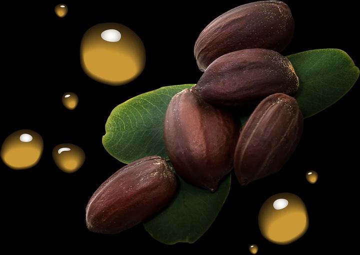 Actual product image Sebastian Dark Oil (250 ml, Liquid shampoo)