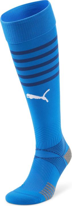 Puma teamFINAL Socks