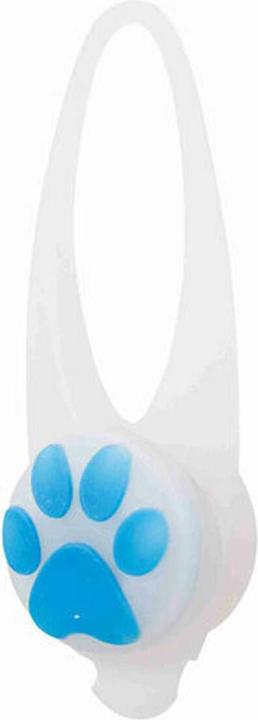 Trixie Flasher (Hund)