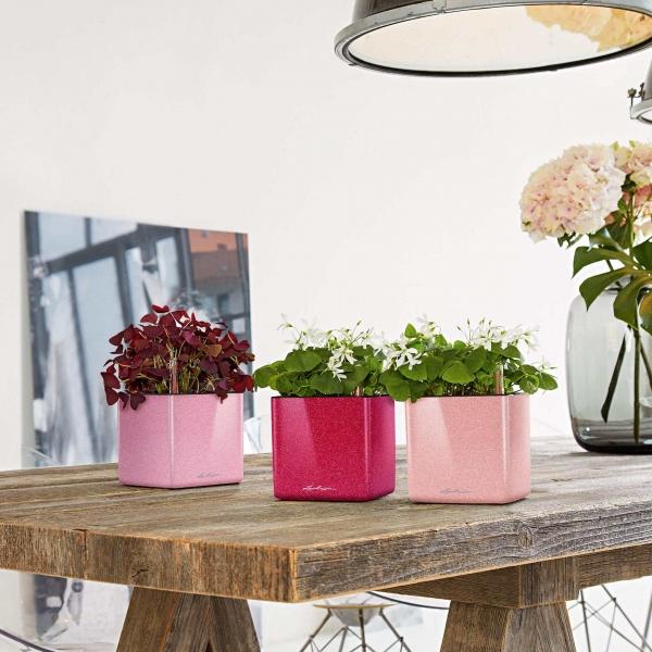 Produktbild Lechuza Cube Glossy 14 (14 x 14 x 14 cm)