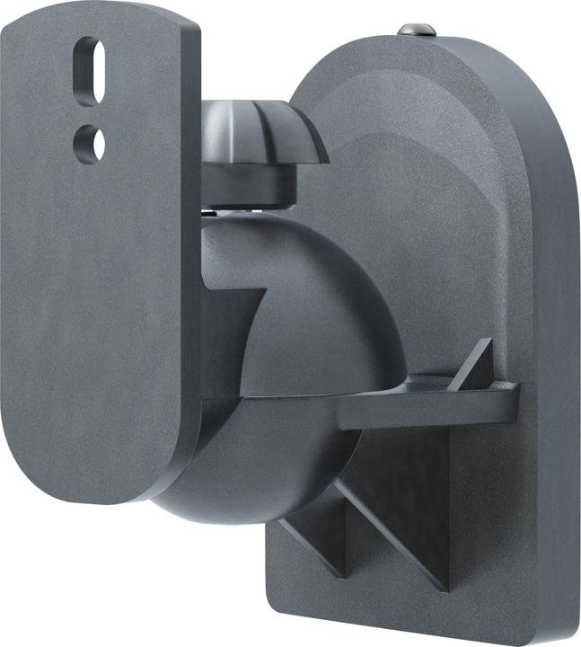 Actual product image Goobay Universal (1 pair, Wall installation, Pivoting, Tiltable)