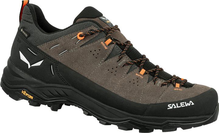 Actual product image Salewa Alp Trainer 2 Gore-Tex® Shoe (41)