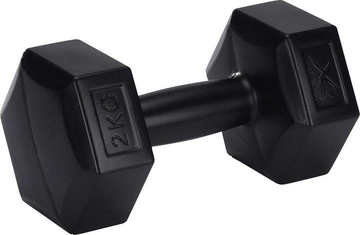 XQ Max Ensemble d'haltères en ciment (2 x 2 kg)