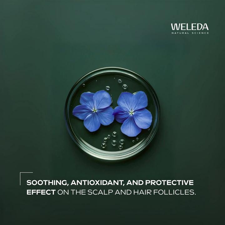 Actual product image Weleda Hydra Shine (Liquid shampoo, 250 ml)