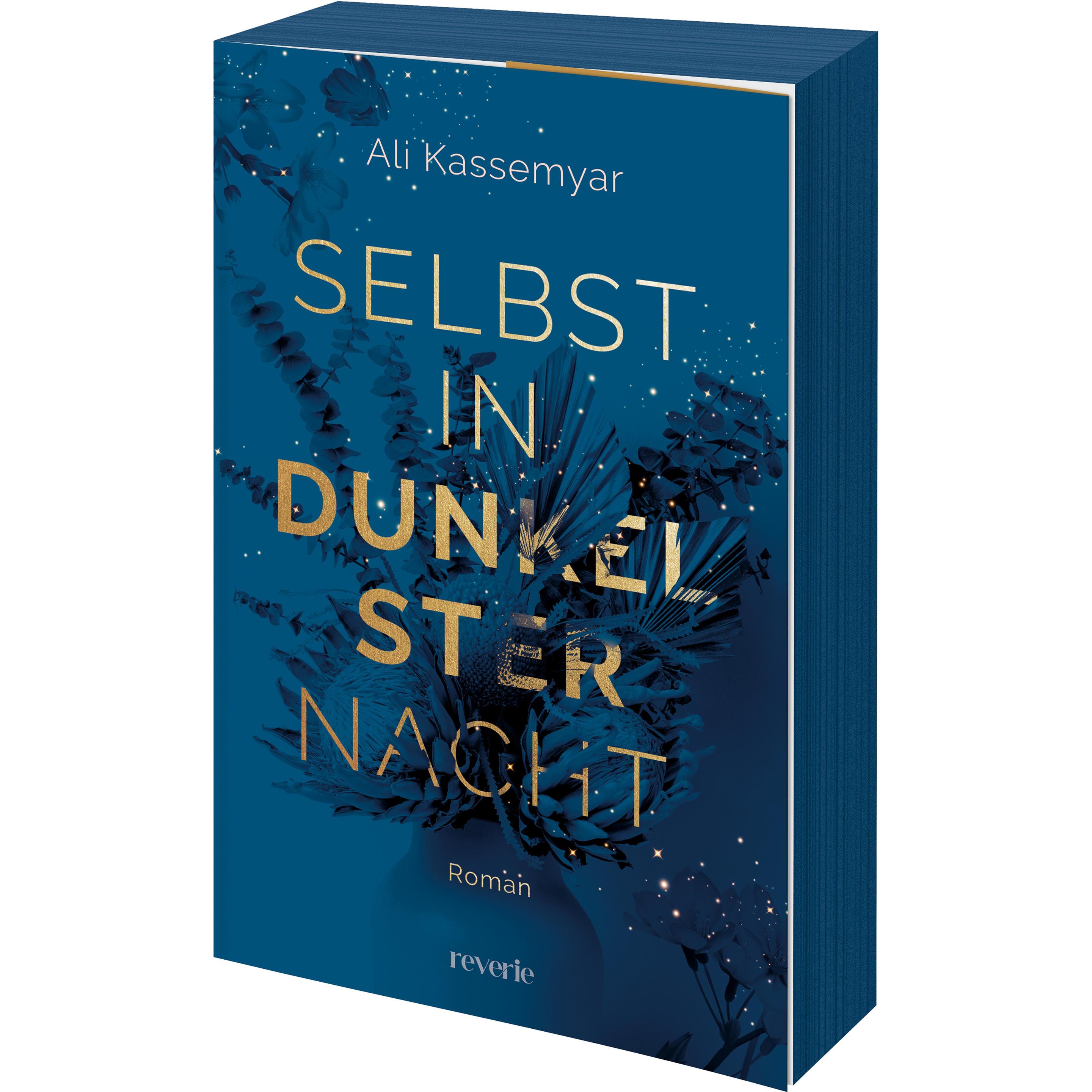 Selbst in dunkelster Nacht, Belletristik von Ali Kassemyar