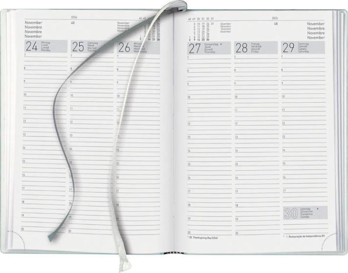 Actual product image Biella Business Agenda Terminia (145 x 205 mm, German, French, Italian, English)