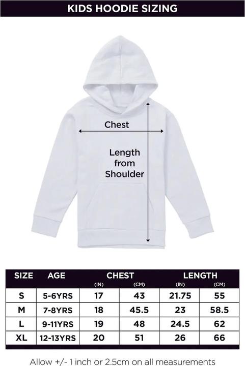 Produktbild Pink Floyd Dark Side Of The Moon Table Prism Kapuzenpullover (128)