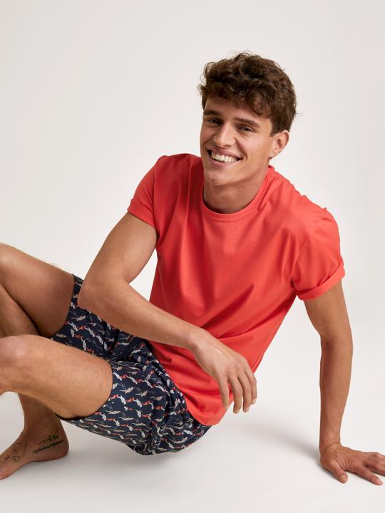 Immagine prodotto Calida Rmx Sleep Journey (M)