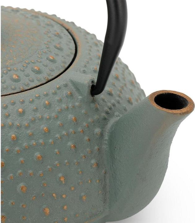 Actual product image Bredemeijer Teekanne Anhui 0.9 l (0.90 l)
