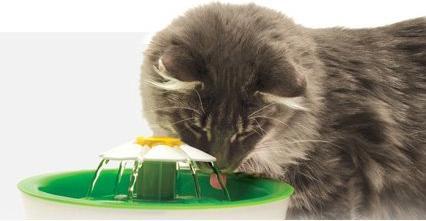Productafbeelding Catit Bloemenfontein (3 l)