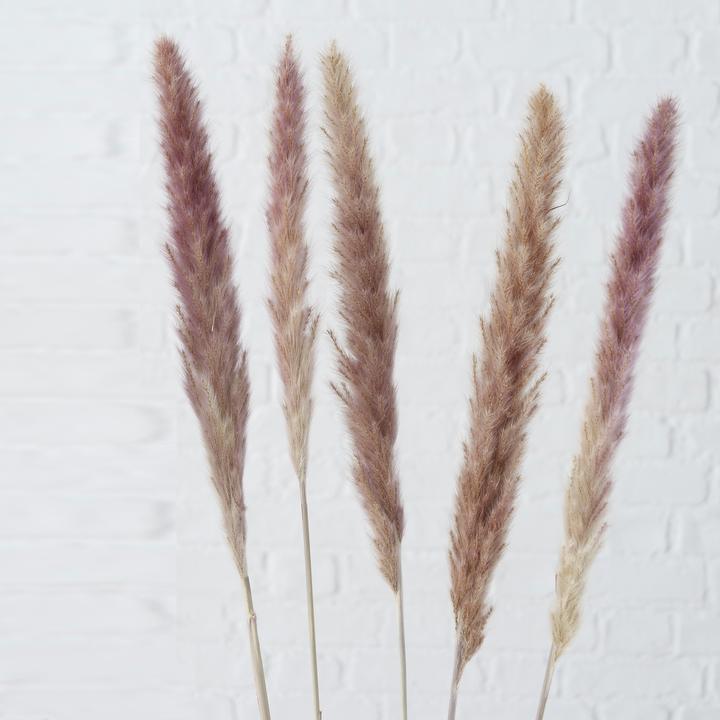 Actual product image Boltze Home Pampasgras