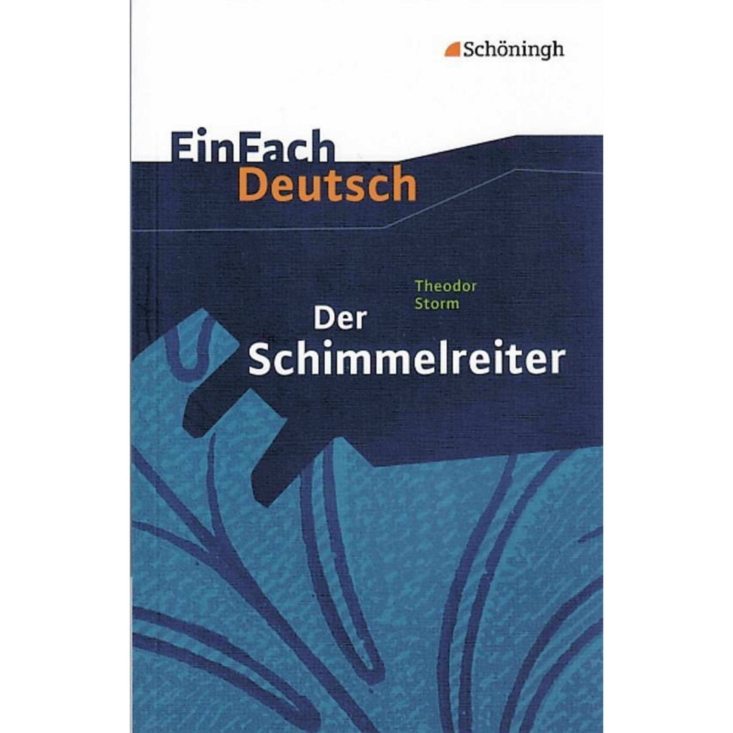 Theodor Storm: Der Schimmelreiter, Schulbücher von Theodor Storm