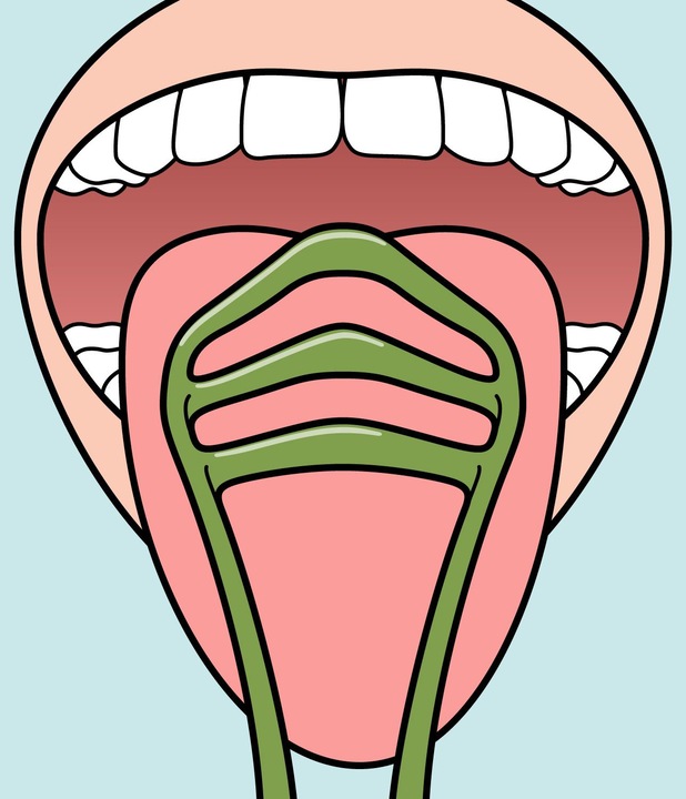 Actual product image TePe GOOD Zungenreiniger (Tongue scraper, 1 x)