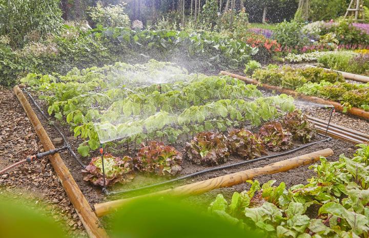 Image du produit Gardena Kit Micro-Drip Système pour potager/jardin de fleurs (Kit d'irrigation goutte à goutte)