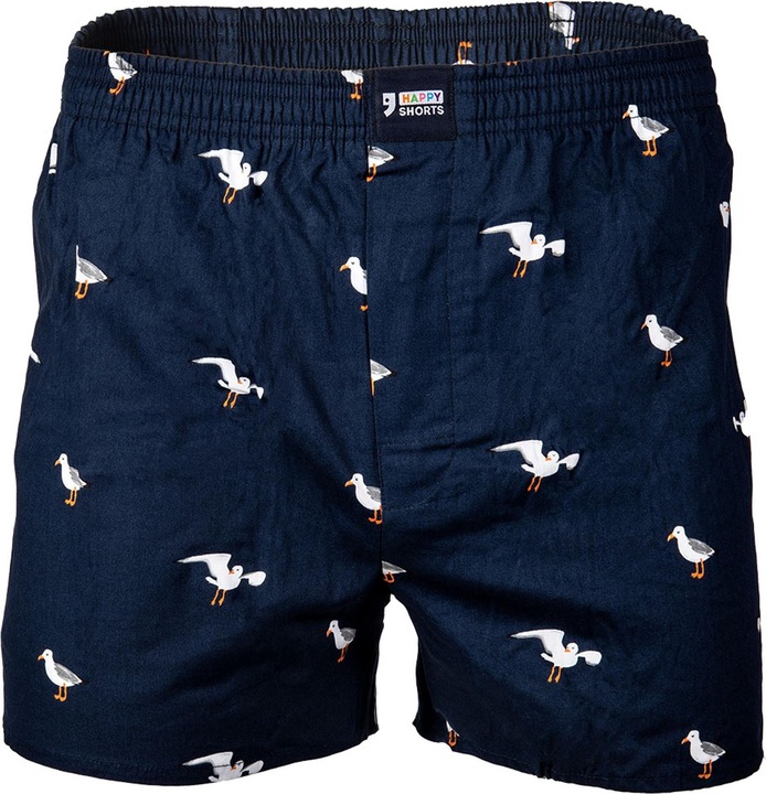 Sea Gull