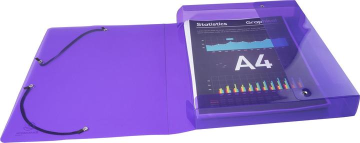 Produktbild Exacompta Archivbox (A4)