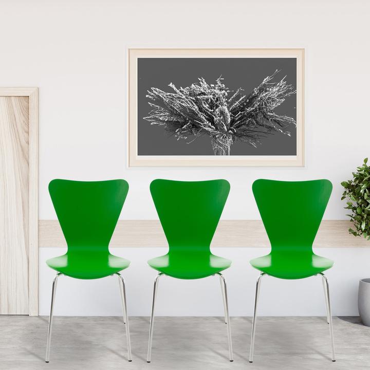 Produktbild CLP Calisto