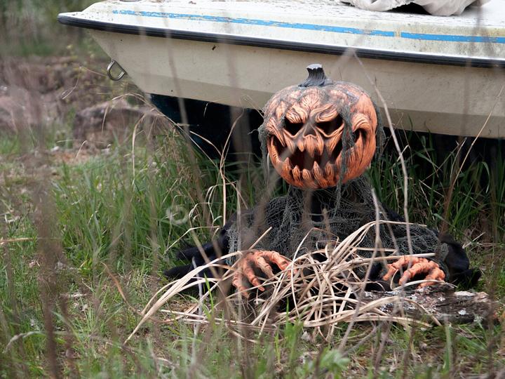 Actual product image Europalms Halloween pumpkin monster (1 Piece)