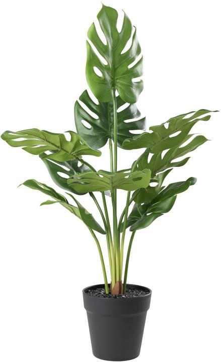 Actual product image EGLO Kunstpflanze 64cm (64 cm)