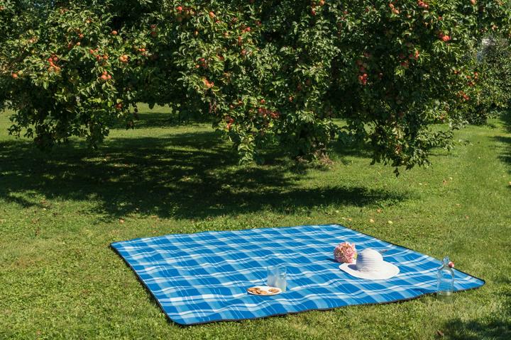 Produktbild Walser Reisedecke mit Alurückseite, wasserdichte Picknickdecke wärmeisolierte 200x200cm