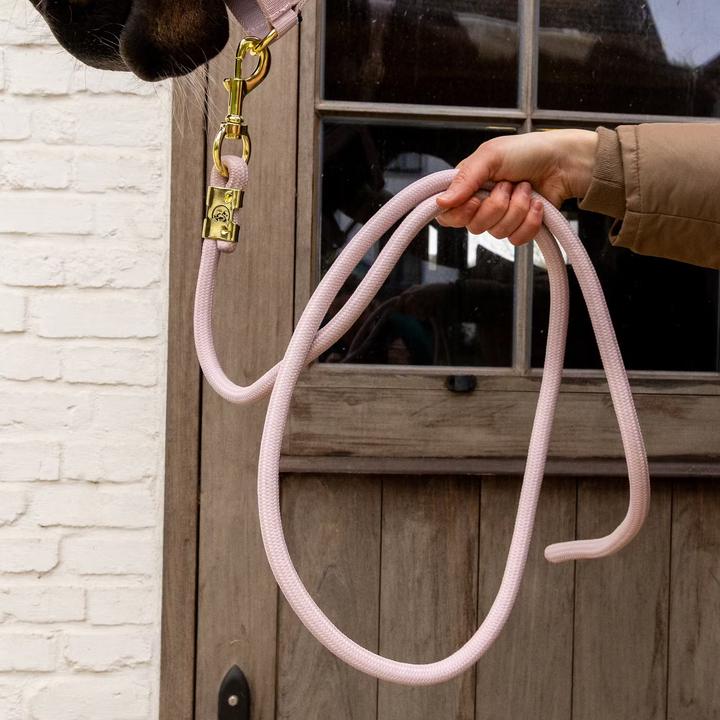 Actual product image Kentucky Horsewear Basic