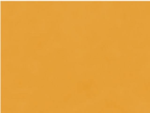 Immagine prodotto Talens Vernice opaca Ecoline (Giallo ocra, 30 ml)