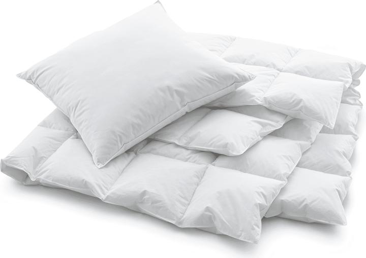 Actual product image Swiss Dream by billerbeck CLC 90 Piuma Pillow (65 x 100 cm)