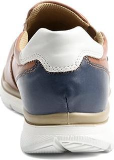 Immagine prodotto Ara 3114533 (40)